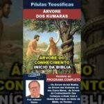 124 ÁRVORE DOS KUMARAS  #adhemarramos #conscienciacosmica #teosofia #ocultismo #mitologia #árvore