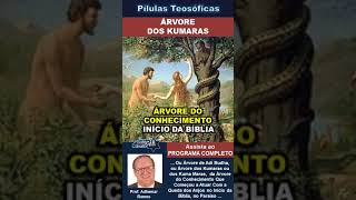 124 ÁRVORE DOS KUMARAS  #adhemarramos #conscienciacosmica #teosofia #ocultismo #mitologia #árvore