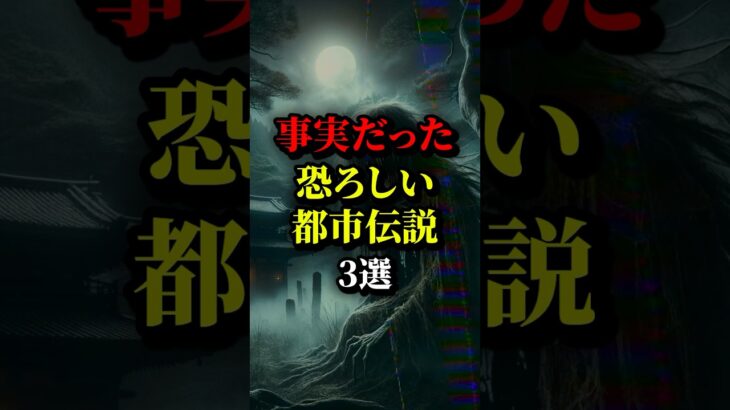 近年 事実と判明した都市伝説3選。最後の日本の事件は恐ろしい。。#都市伝説 #雑学 #ホラー