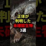 正体が判明した未確認生物3選 #都市伝説 #ホラー #雑学