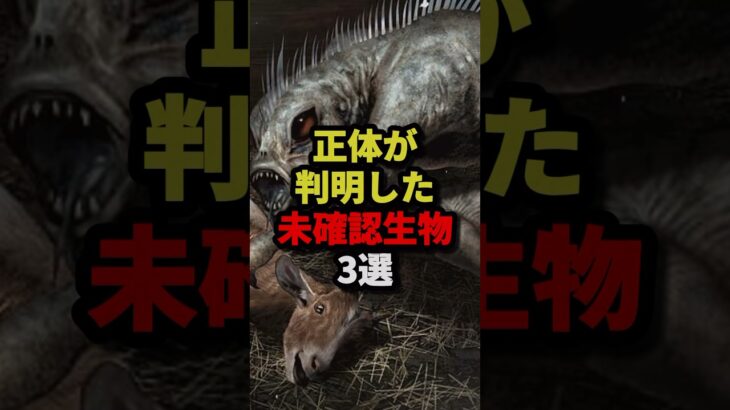 正体が判明した未確認生物3選 #都市伝説 #ホラー #雑学