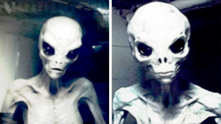 2024年 Alien Photos From History That Prove They’re Real