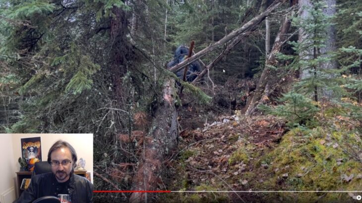 2024年 Crazy Bigfoot Videos! Real, Hoax or Something Else? My Take! (UFOs, UAP)