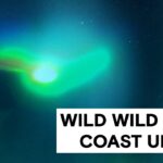 2024年 The Proof Is Out There: Top 4 WILDEST West Coast UFOs