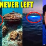 2024年 UFO’s Actually In The Ocean? Video Proof Of Ocean UAP’s