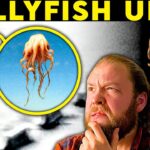 2024年 VFX Artists DEBUNK New Jellyfish UFO Videos