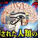 人類の失われた本当の力がヤバすぎる【 都市伝説 マイクロチップ イーロン・マスク 】