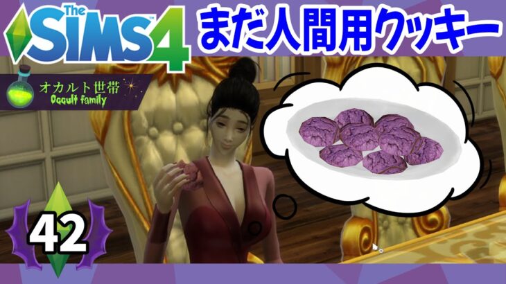 #42【オカルト世帯】ヴァンパイアクッキーまだ人間用です…(The sims 4)