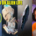 2024年 Alien Found In Columbia And New Alien Tech – Plus Crazy UFO Footage