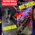 2024年 Miami Mall Bayside Alien Incident Isn’t Over (2024)