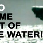 2024年 Mind-Boggling UFO Footage That Will Blow Your Mind! LATEST UFO Encounters, Mysterious New UFO Videos
