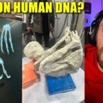 2024年 New Nazca Alien Mummy Found – This One Could Be Real