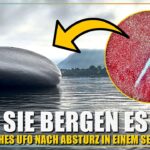 2024年 Spektakulär! Forscher finden riesiges zylindrisches UFO am Grunde eines Sees in Hessdalen!