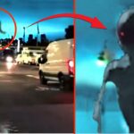 2024年 They Filmed An Alien On Road, What Happened Next Shocked The Whole World