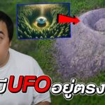 2024年 หลุมในป่าเเห่งนี้ เคยเป็นจุดที่ UFO ของ ” มนุษย์ต่างดาว ” ลงจอดเมื่อนานมาแล้ว !?