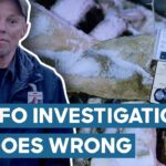 2024年 UFO Cattle Mutilation Investigation Goes Wrong | UFO Witness