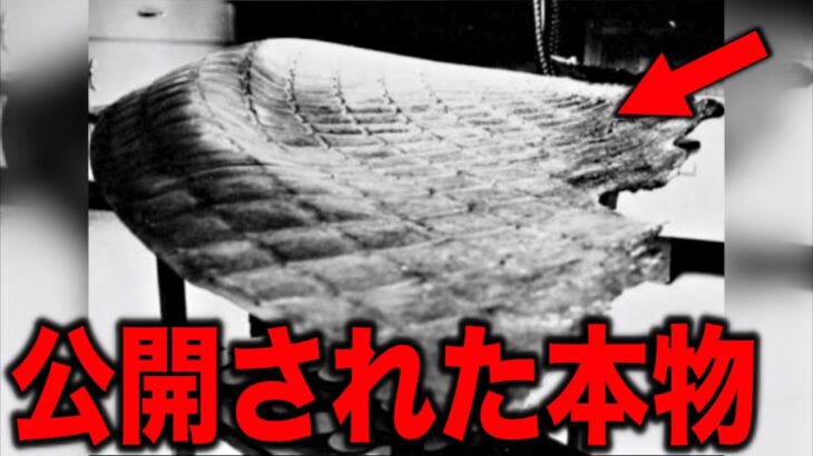 2024年 本物の可能性が高いUFOの残骸…2024年メディアが警告する日本で報道されない地球外文明の存在を証明する衝撃的な証拠写真と海外学者が予言する不穏な動きを見せる恐ろしい政府の動向【都市伝説】