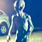 2024年 WARNING! Alien That Landed In Backyard Has Been Captured By Las Vegas Man!