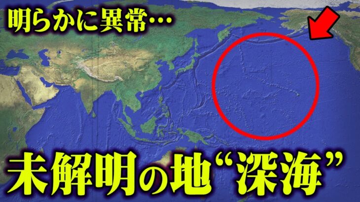 解明されていない深海の謎。海底に存在する巨大生物の存在がヤバすぎる【 都市伝説 深海 巨大生物 】