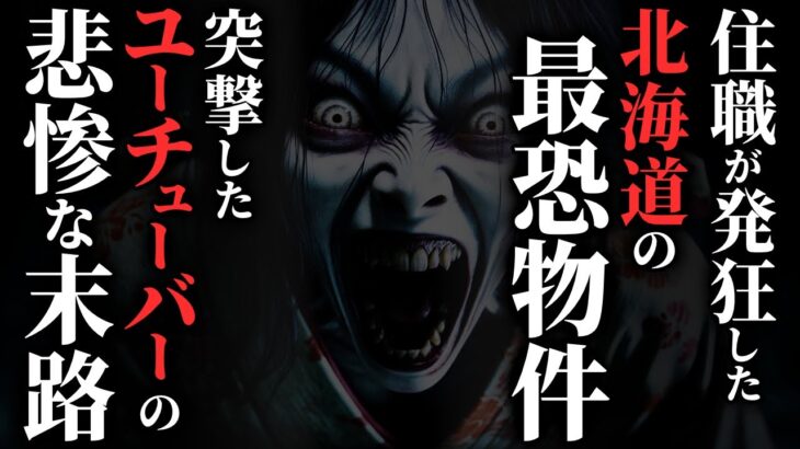 【怖い話】北海道最恐スポット『青い屋根の家』に突撃したユーチューバーの末路…2chの怖い話「青い屋根の家・真嘉比道の逆立ち幽霊・夜泣き」【ゆっくり怪談】