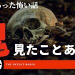 鬼、見たことある？本当にあった怖い話「友達のじいちゃん」「犬の散歩」不思議な話・人怖を朗読・考察 THCオカルトラジオ