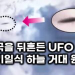 2024年 미국을 뒤흔든 UFO – 개기일식 하늘에 나타난 거대 원반 비행체