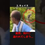 【トラウマ注意!】カメラが捉えた戦慄する心霊映像! #shorts #心霊 #ゆっくり解説