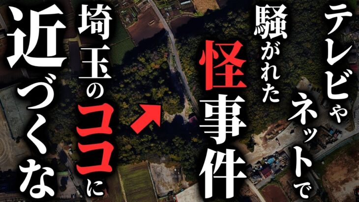 【怖い話】『世界の何だ〇レ!?ミステリー』で取り上げられた[埼玉の怪事件]がヤバすぎる…2chの怖い話「迷い込んだ街・湖底に沈む農家・コワイ客」【ゆっくり怪談】