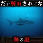 【未解明】人類がたった5%しか解明できていない海の謎5選がヤバすぎる…。【 ミステリー 都市伝説 未解決問題 】