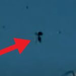2024年 Mysterious UFO Videos No One Can Explain