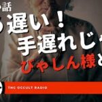 もう遅い手遅れじゃ！びゃしん様とは？「短い怖い話」不思議な話・人怖を朗読・考察 THCオカルトラジオ