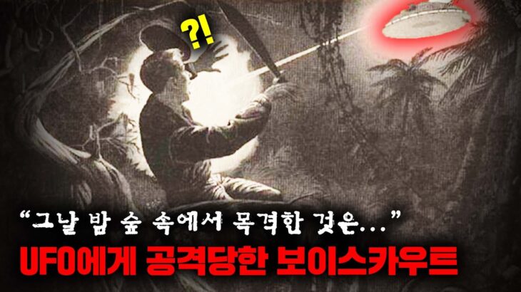 2024年 미국 보이스카우트 단원들이 숲 속에서 UFO에게 공격 당한 실제 사건 [미스터리]