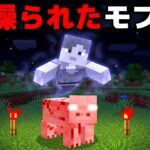 消されないマイクラ都市伝説を検証してみた【まいくら・マインクラフト】