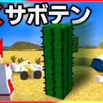 マイクラ都市伝説「動くサボテン」を調査した結果…【マイクラ/マインクラフト】