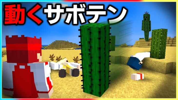 マイクラ都市伝説「動くサボテン」を調査した結果…【マイクラ/マインクラフト】