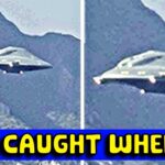 2024年 Did a UFO just abduct A BUNCH of animals on camera?!