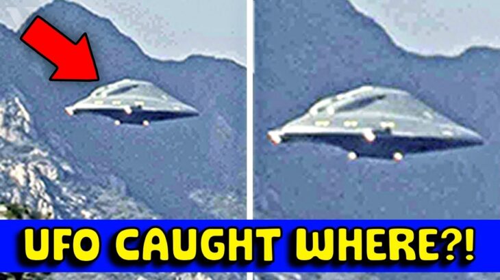 2024年 Did a UFO just abduct A BUNCH of animals on camera?!