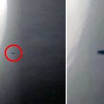 2024年 This Man Released Clear Images Of A Massive UFO Seen Next To Our Moon