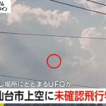 2024年 【UFO】仙台市上空に未確認飛行物体が…専門家「ドローンではない」が…チョウゲンボウ？