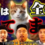 【都市伝説】猫の秘密知ってる？～猫と人との関係性～