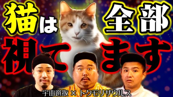 【都市伝説】猫の秘密知ってる？～猫と人との関係性～