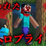 呪われたへロブラインの都市伝説を検証した結果…【 マイクラ / マインクラフト 】