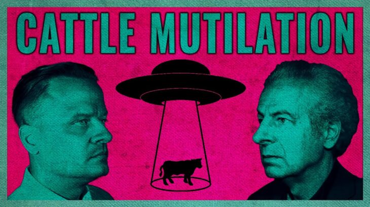 2024年 Are UFOs killing cows? We investigate the “cattle mutilation” phenomenon | The Basement Office