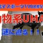 【ミステリー】千葉で謎の動物大繁殖？！【オカルト】　銚スポTVDX no.59(7/13/2024)