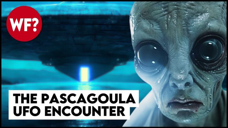 2024年 The Pascagoula UFO Incident | When Nightmares Come True