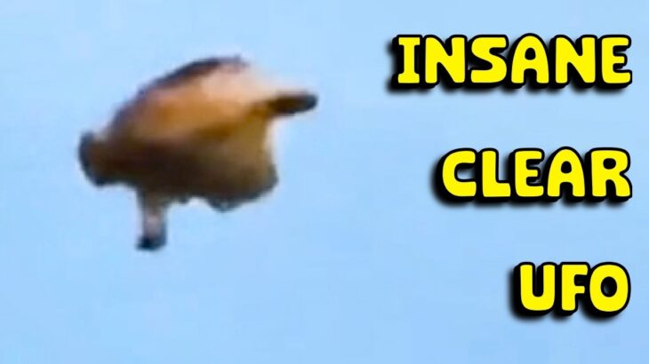 2024年 Insane Clear UFO Footage Focused and Zoomed In! Acorn UAP are EVERYWHERE!