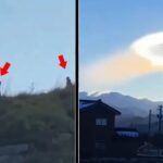 2024年 🔴LIVE | Unbelievable Alien & UFO Sightings in US, Brazil & Japan Caught On Camera -Shocking Footage!