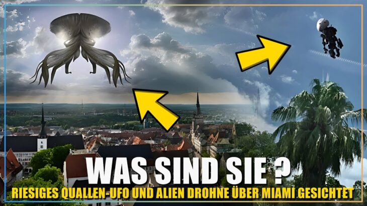 2024年 Riesiges Quallen UFO & Alien Drohne über Deutschland & Miami gefilmt… Was wissen wir darüber?