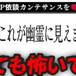 【これが幽霊に見えますか】カンテサンスを考察【SCP依談をゆっくり解説】