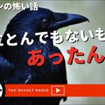 屋上にとんでもないものがあったんです！「カラスが集まるマンション」「ベランダ越し」不思議な話・人怖を朗読・考察 THCオカルトラジオ